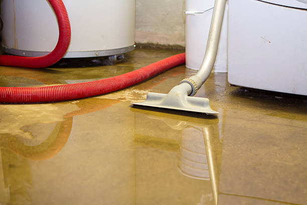 Best Commercial water damage restoration  in Footville, WI