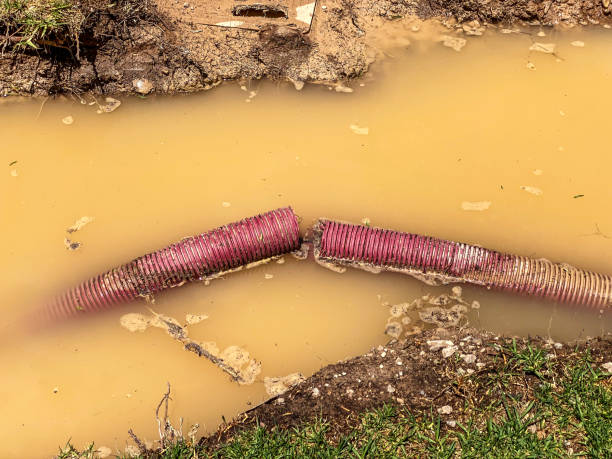 Reliable Footville, WI Water damage restoration Solutions